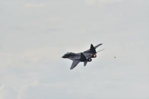 DSC 0405 (1)
